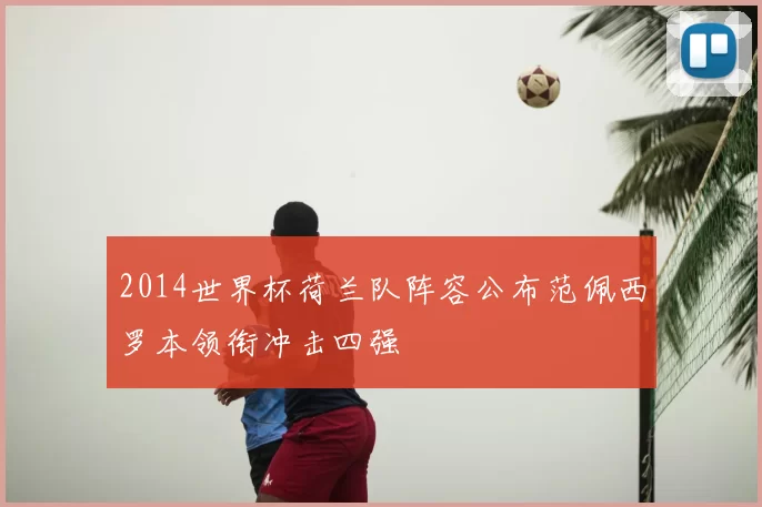 2014世界杯荷兰队阵容公布范佩西罗本领衔冲击四强
