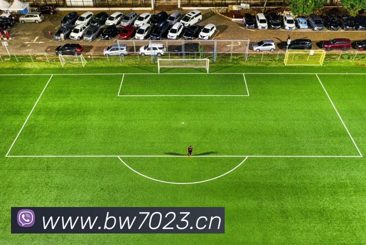 开云·kaiyun体育(中国大陆)官方网站 登录入口APP 封面图